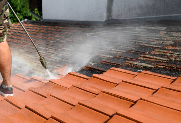 Best Power Washing Near Me  in El Campo, TX
