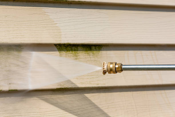 Best Roof Pressure Washing  in El Campo, TX